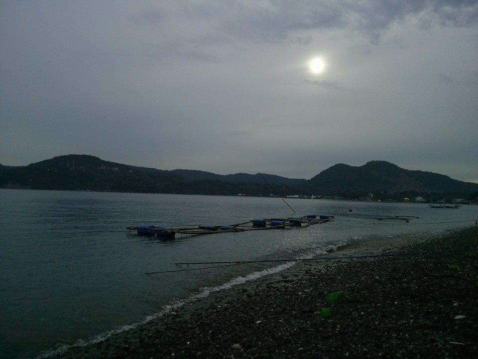 Anilao Scuba Dive Center Hotel Batangas Екстериор снимка
