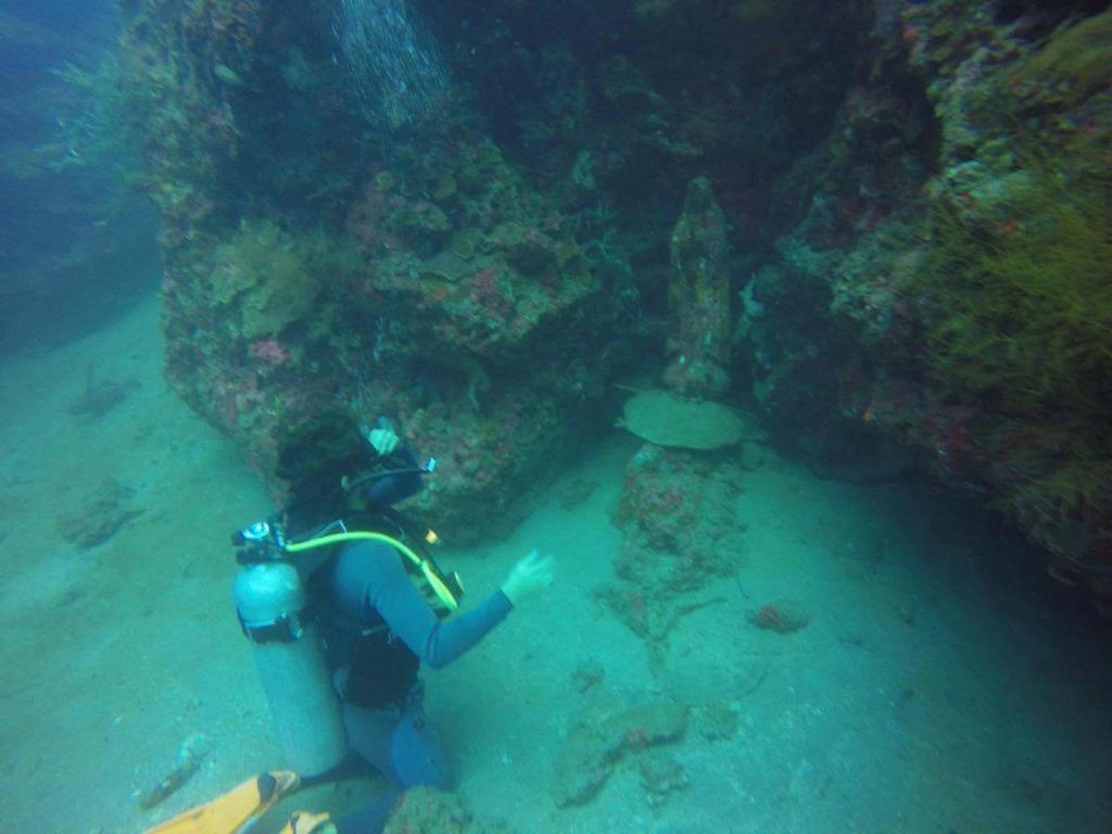 Anilao Scuba Dive Center Hotel Batangas Екстериор снимка