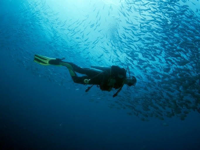 Anilao Scuba Dive Center Hotel Batangas Екстериор снимка